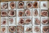 Flat: Small, Pink Amethyst Geode Sections From Argentina - Pieces #182599-4